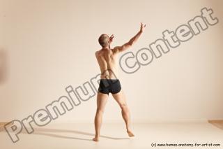 moderndance reference 03 07